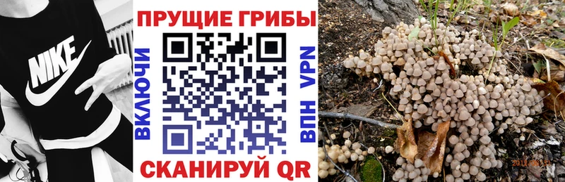 Галлюциногенные грибы GOLDEN TEACHER  Купить закладки  Монино 